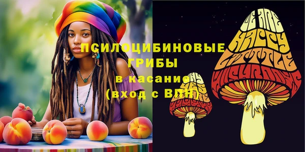 дмт Лагань