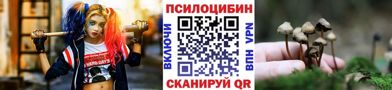 как найти закладки  Нюрба  Псилоцибиновые грибы GOLDEN TEACHER 